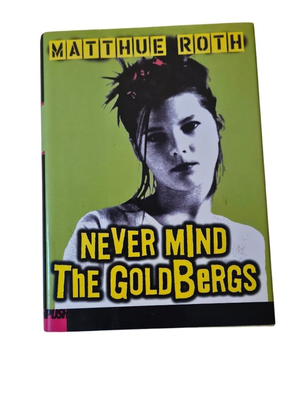 Never Mind The Goldbergs By Matthue Roth Hardcover Novel